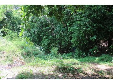 Hermosa Finca campestre en Santa Marta, ideal para descansar G-31