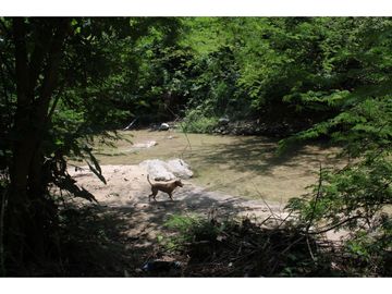 Hermosa Finca campestre en Santa Marta, ideal para descansar G-31