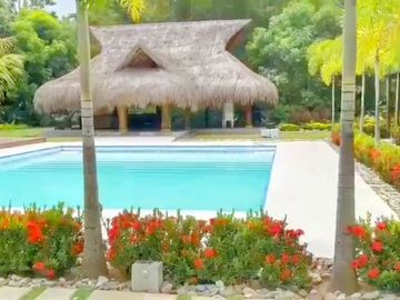 VENDO CASA FINCA EN SANTA MARTA ZONA PARQUE TAYRONA