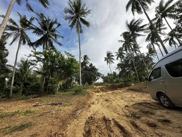 ALEX RIVERSIDE HILLS️ Farm-Residential Lot for Sale in Bailen, Cavite