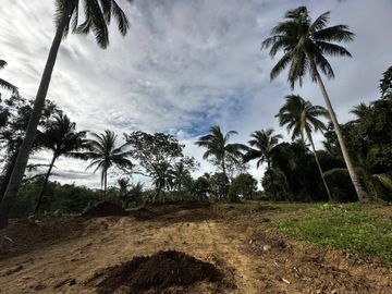 ALEX RIVERSIDE HILLS️ Farm-Residential Lot for Sale in Bailen, Cavite