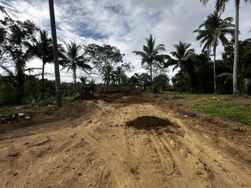 ALEX RIVERSIDE HILLS️ Farm-Residential Lot for Sale in Bailen, Cavite