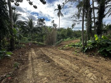 ALEX RIVERSIDE HILLS️ Farm-Residential Lot for Sale in Bailen, Cavite