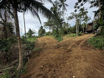 ALEX RIVERSIDE HILLS️ Farm-Residential Lot for Sale in Bailen, Cavite