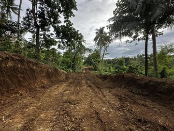 ALEX RIVERSIDE HILLS️ Farm-Residential Lot for Sale in Bailen, Cavite