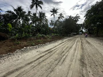 ALEX RIVERSIDE HILLS️ Farm-Residential Lot for Sale in Bailen, Cavite