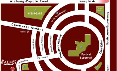 FOR SALE: Prime 322 sqm Vacant Lot in Palms Pointe, Filinvest, Alabang