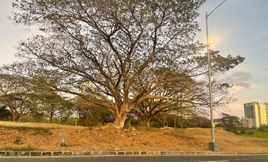 FOR SALE: Prime 322 sqm Vacant Lot in Palms Pointe, Filinvest, Alabang
