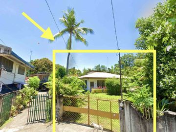 For Sale: House & Lot (1,106 sqm) - Pulantubig Dumaguete City