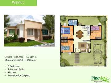 FOR SALE HOUSE AND LOT PINEVIEW in TANZA CAVITE