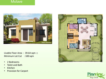 FOR SALE HOUSE AND LOT PINEVIEW in TANZA CAVITE