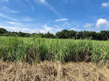 For Sale:7619sqm Commercial/Residential Lot Along Economic Hwy – Bacolod City