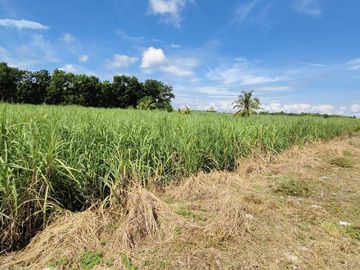 For Sale:7619sqm Commercial/Residential Lot Along Economic Hwy – Bacolod City