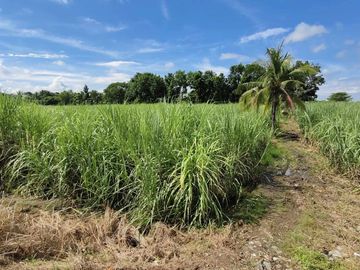 For Sale:7619sqm Commercial/Residential Lot Along Economic Hwy – Bacolod City