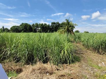 For Sale:7619sqm Commercial/Residential Lot Along Economic Hwy – Bacolod City