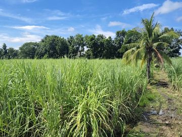 For Sale:7619sqm Commercial/Residential Lot Along Economic Hwy – Bacolod City