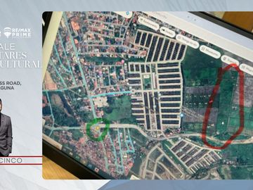 FOR SALE - 2 Hectares, Agricultural Lot: Bucal, Calamba Laguna.