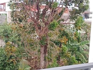 Mutual Homes Subd.
