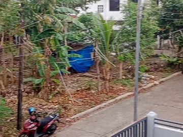 Mutual Homes Subd.