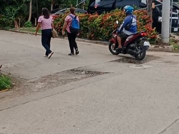 Mutual Homes Subd.