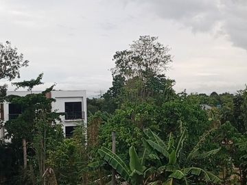 Mutual Homes Subd.