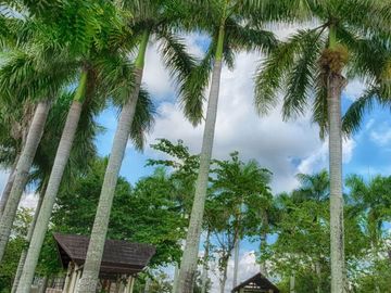 Pramana House and Lot Pre-selling for turnover this year