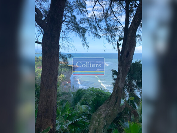 2.9-Hectare Beachfront Resort in Real, Quezon Province