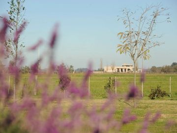 Quinta en venta en Cañuelas
