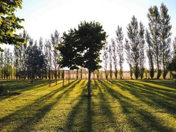 Quinta en venta en Cañuelas