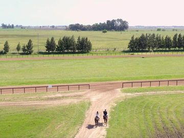Quinta en venta en Cañuelas