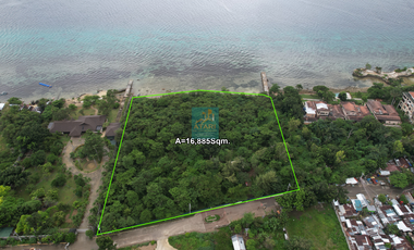 16,885 sqm Prime Beachfront Lot For Sale in Punta Engaño, Lapu-Lapu City