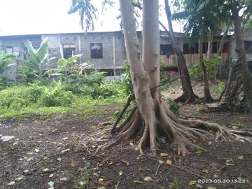 Prime Property Downtown Tacloban, Leyte For Sale Commercial Lot