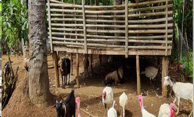 Agricultural Lot for sale in Marahan II, Alfonso, Cavite