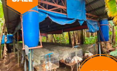 Agricultural Lot for sale in Marahan II, Alfonso, Cavite