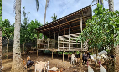 Agricultural Lot for sale in Marahan II, Alfonso, Cavite