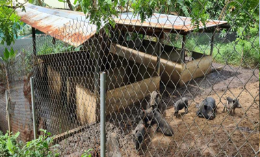Agricultural Lot for sale in Marahan II, Alfonso, Cavite
