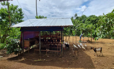 Agricultural Lot for sale in Marahan II, Alfonso, Cavite