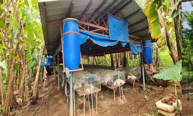 Agricultural Lot for sale in Marahan II, Alfonso, Cavite