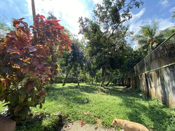House & Lot (2,000sqm) San Pablo Laguna FOR SALE at Php16M