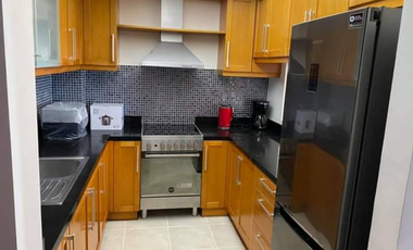 For Rent: Fully furnished 1Bedroom Condominium at One Serendra Palm, Taguig
