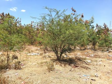 Lot For Sale Rosario near EPZA Cavite Economic Zone Industrial Commercial