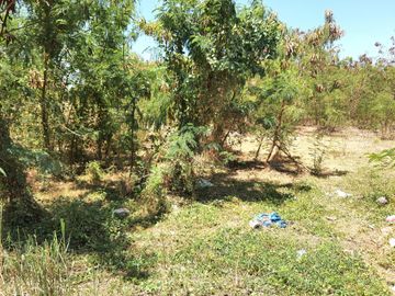 Lot For Sale Rosario near EPZA Cavite Economic Zone Industrial Commercial