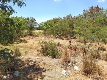 Lot For Sale Rosario near EPZA Cavite Economic Zone Industrial Commercial