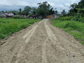 Industrial Lot for Sale in Barangay 94, Tacloban City, Leyte