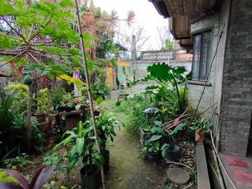 5 Bedroom House and Lot with Swimming Pool for Sale Los Baños, Laguna
