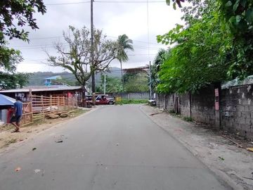 5 Bedroom House and Lot with Swimming Pool for Sale Los Baños, Laguna