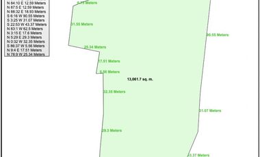 For Sale 1.3 Hectares Daang Hari Vacant Lot in Anabu, Imus, Cavite