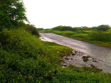 For Sale Vacant Land With Beach front lot Facing Manila Bay Tanza Cavite