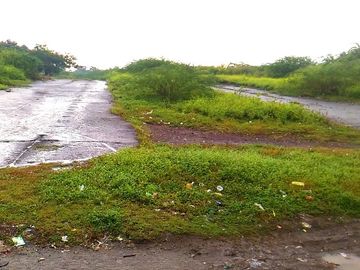 For Sale Vacant Land With Beach front lot Facing Manila Bay Tanza Cavite