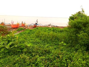 For Sale Vacant Land With Beach front lot Facing Manila Bay Tanza Cavite
